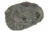 Chelyabinsk Meteorite ( g) - Witnessed Fall #263520-2